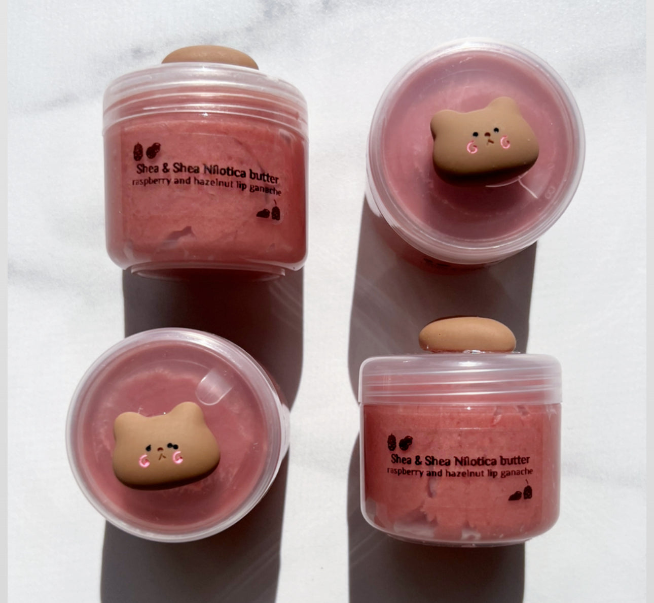 Shea nilotica butter - raspberry & hazelnut lip ganache