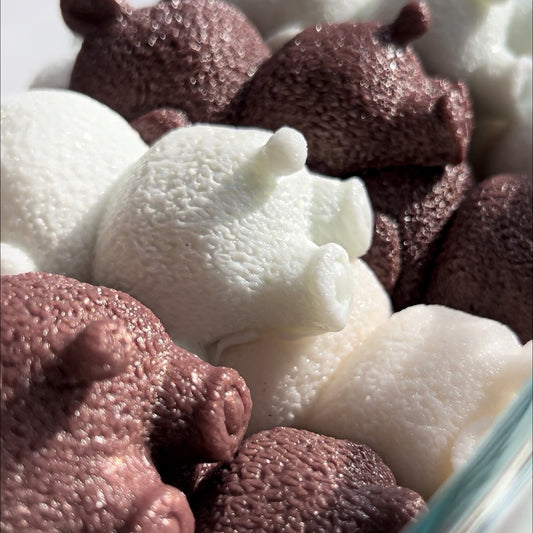 Sleeping bear - Seaweed jelly soap