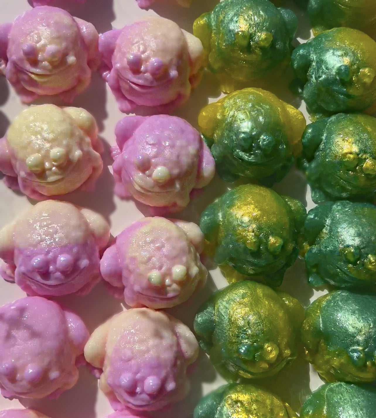 Two toads - 2 piece seaweed jelly soap