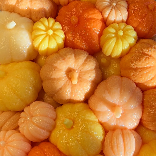 3 piece 🎃 Jelly pumpkin set- Seaweed jelly soap