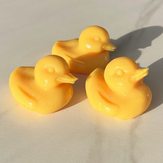 Rubber ducky - Seaweed jelly soap