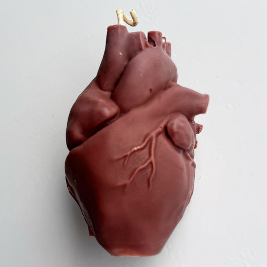 Anatomical heart -  roses & cream soy wax candle