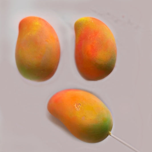 Mango butter - solid lotion bar