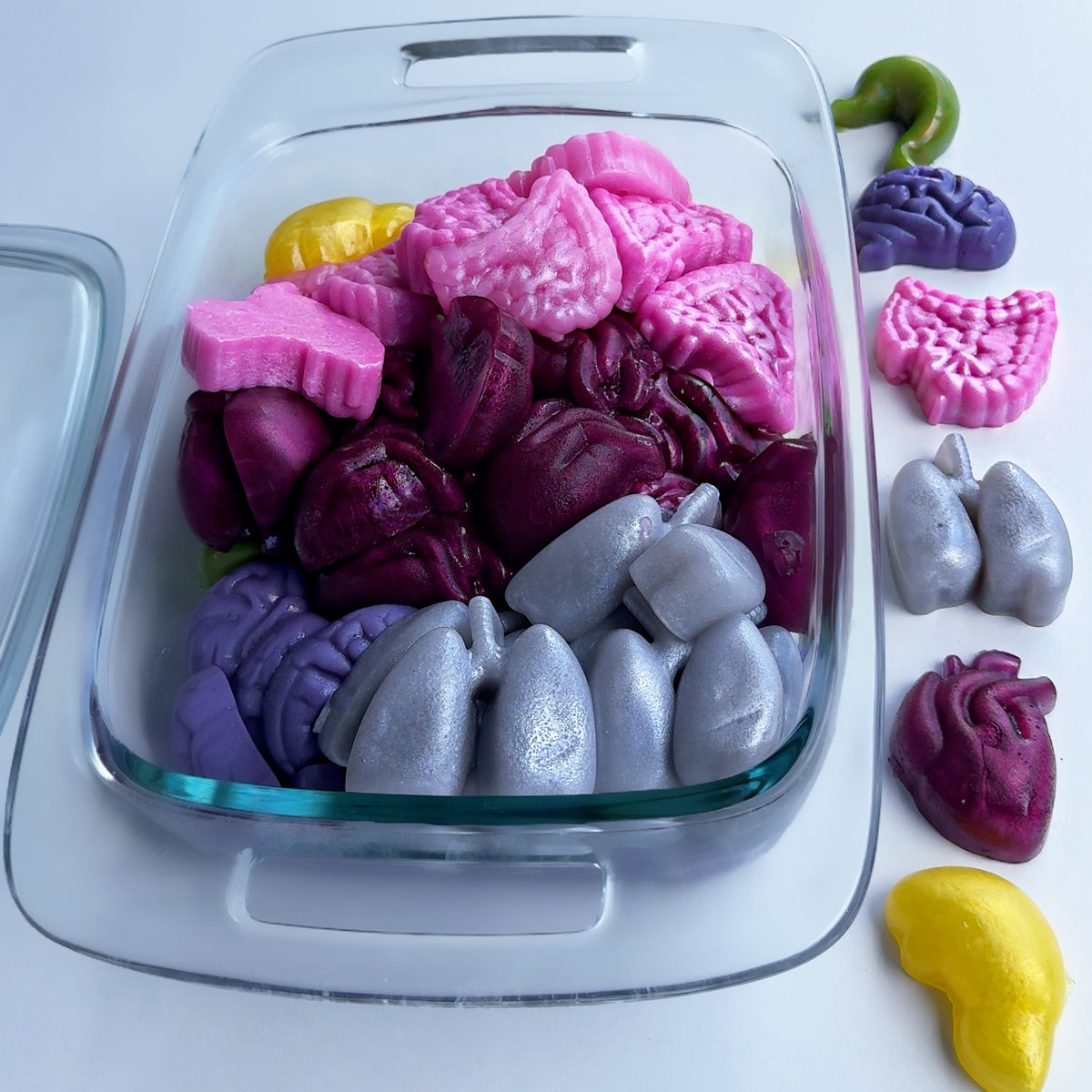 Organs - Essential oil seaweed jelly soap set